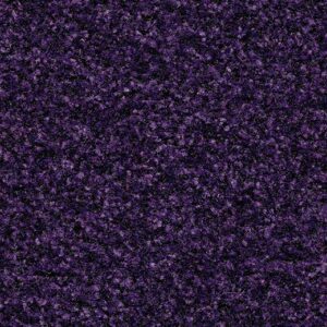 Cleartex Aktiv 5709 royal purple