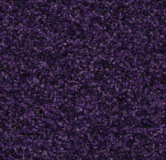 Cleartex Aktiv 5709 royal purple